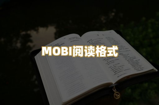 MOBI阅读格式